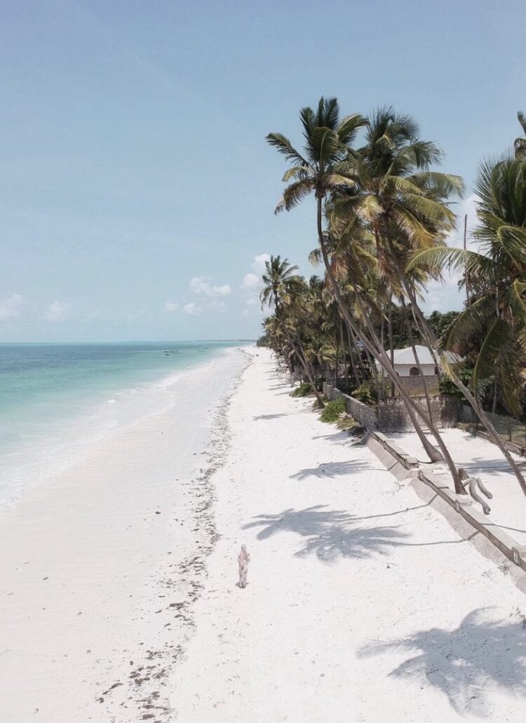 The Ultimate Zanzibar Travel Guide – An Island Like No Other