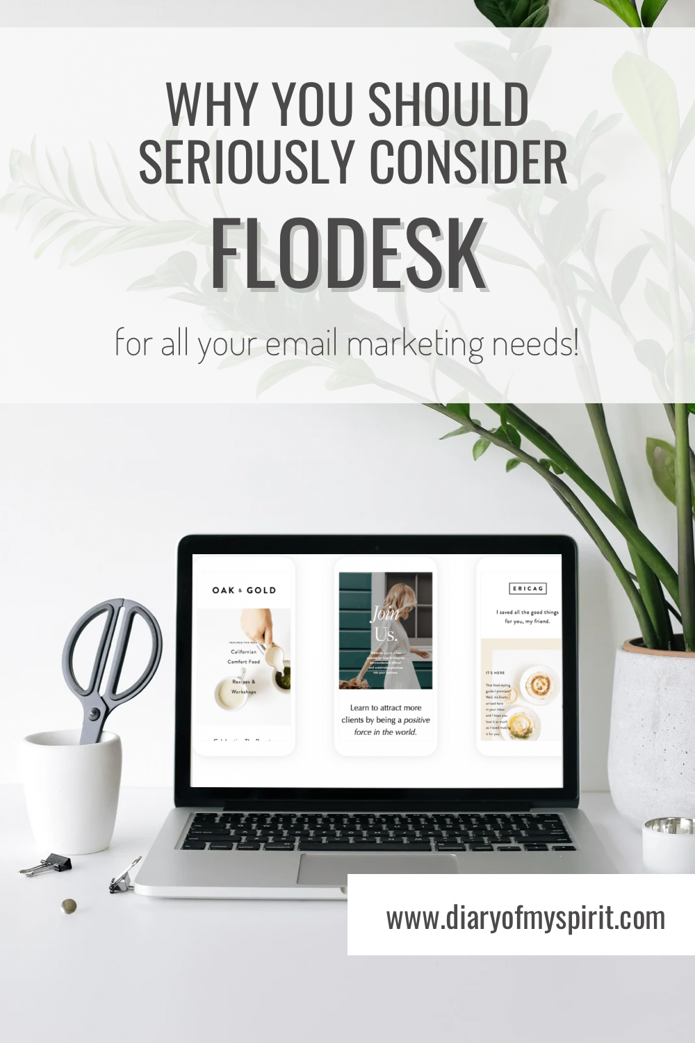 Why Flodesk is the best email marketing provider