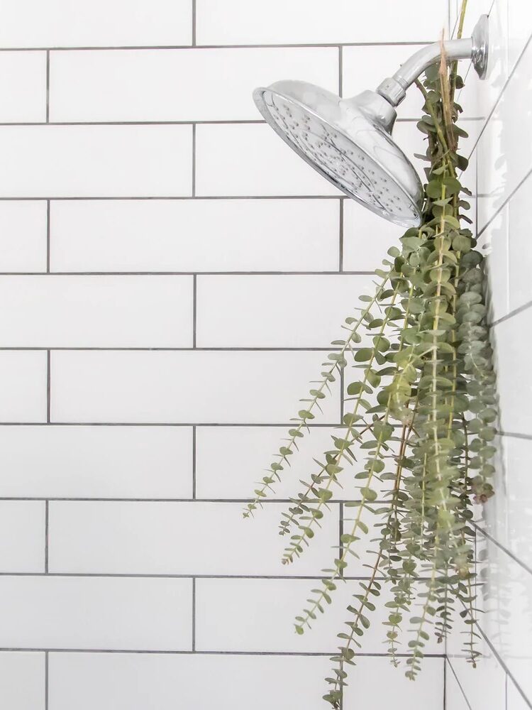 Why You Should Hang Eucalyptus in the Shower