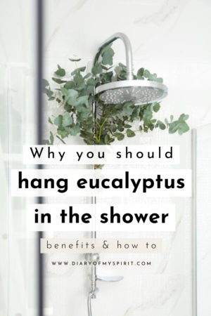 Why you should hang eucalyptus in the shower