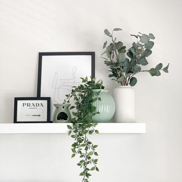 floating shelf with plants and framed photos