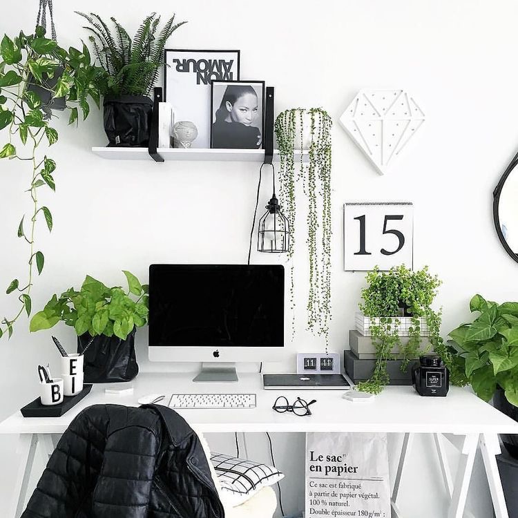 11 Unique Home Office Ideas To Amplify Productivity