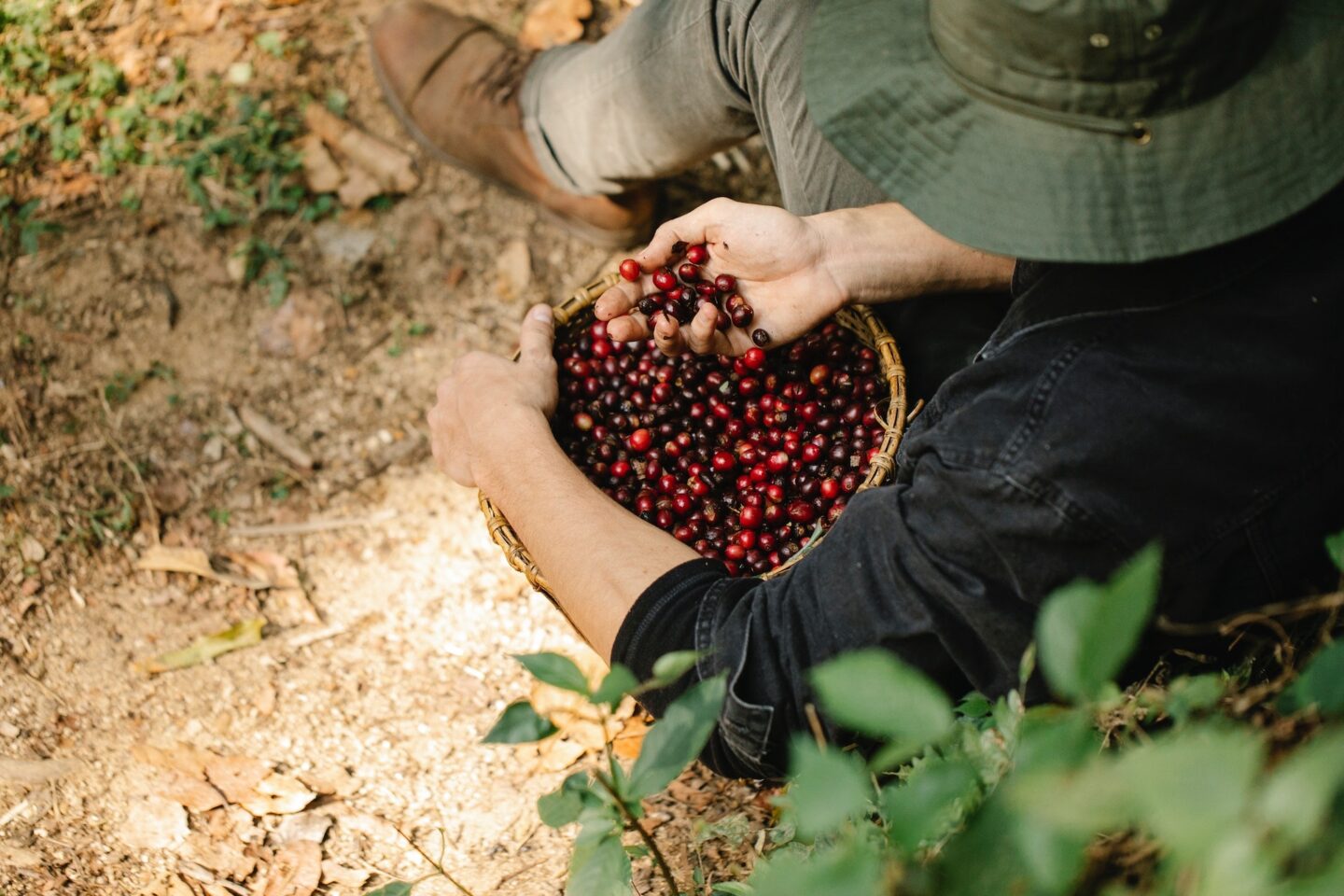 berry picking in the summer. summer inspiration. summer bucket list ideas. Fun things to do this summer. things to do in summer. things to do in the summer. things to do for summer. summer bucket lists. summer activities. activity summer. activities this summer. bucket lists for summer. bucket lists for the summer. bucket list ideas for summer. ideas for summer bucket list.