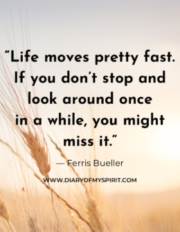 Life moves pretty fast. If you don't stop and look around once in a while, you might miss it quote. life quotes. life quote. quotes with life. life quotes about, life quotes for. a quote on life. this is life quotes. quotation on life. quotation for life. quotes in life. quotes for life. life is quotes. quotes on life. quotes life. life quotation. quotes about life. inspiring quotes. inspirational quotes. motivational quotes. short quotes. simple quotes. positive quotes. positivity quotes. quotes short. short quotes about life. short life quotes. inspirational short quotes.