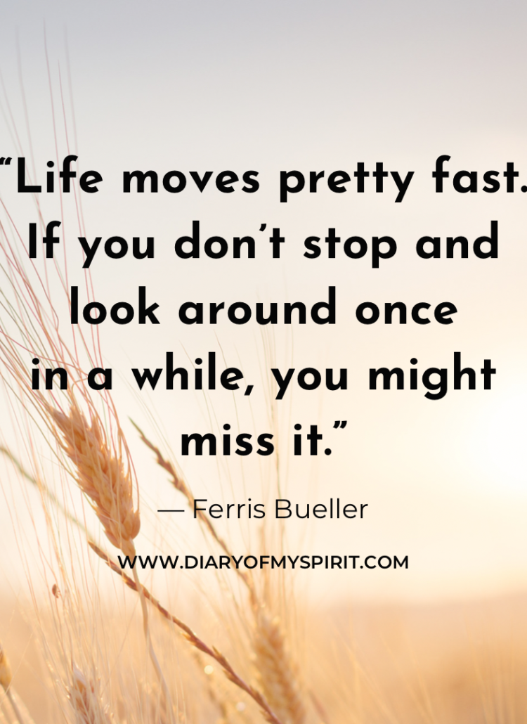 Life moves pretty fast. If you don't stop and look around once in a while, you might miss it quote. life quotes. life quote. quotes with life. life quotes about, life quotes for. a quote on life. this is life quotes. quotation on life. quotation for life. quotes in life. quotes for life. life is quotes. quotes on life. quotes life. life quotation. quotes about life. inspiring quotes. inspirational quotes. motivational quotes. short quotes. simple quotes. positive quotes. positivity quotes. quotes short. short quotes about life. short life quotes. inspirational short quotes.