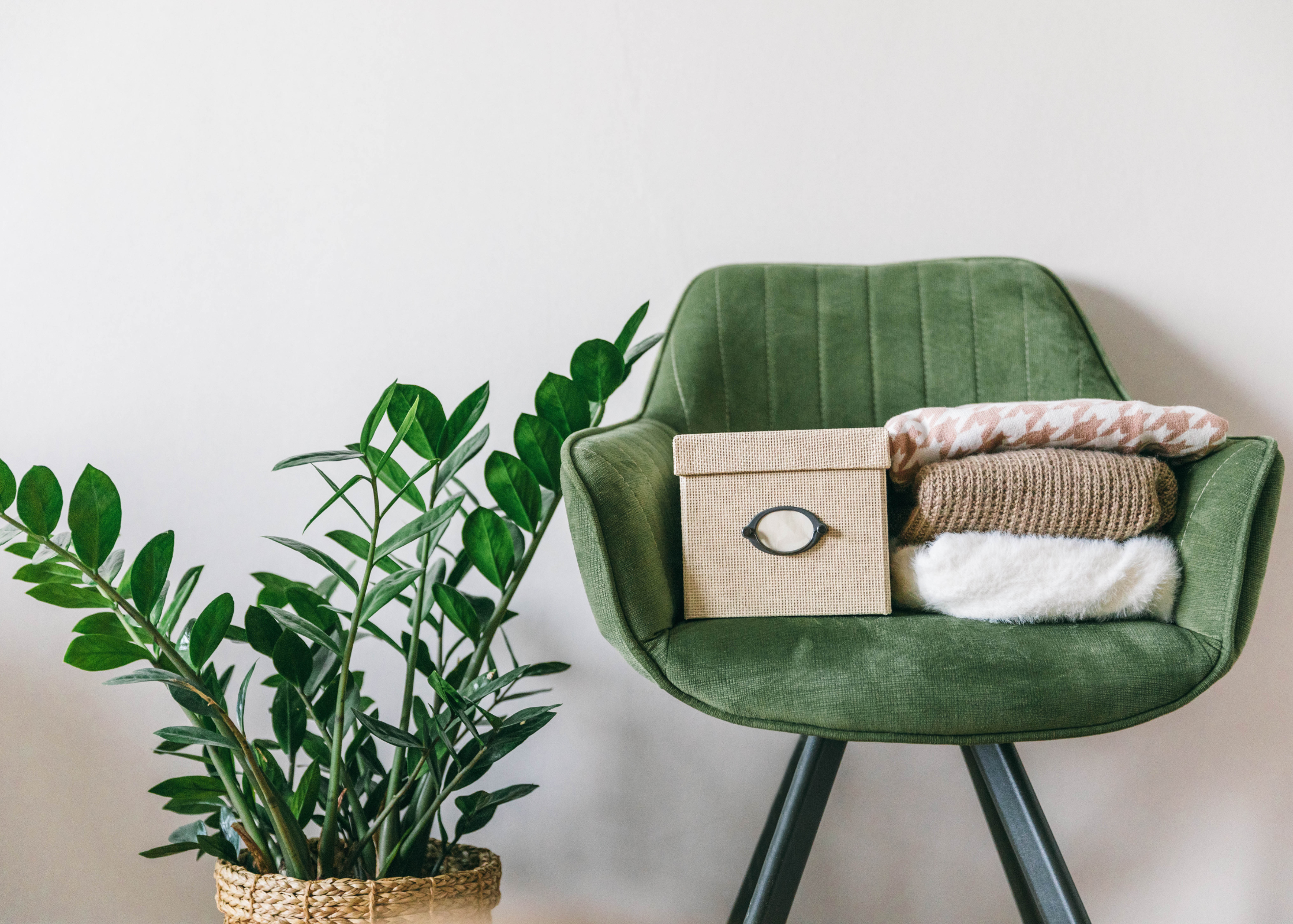 green chair with plant. Spring decor ideas. decorating for spring. decor for spring. How to update your home for spring. resfresh home. get home spring ready. how to transition your home from winter to spring