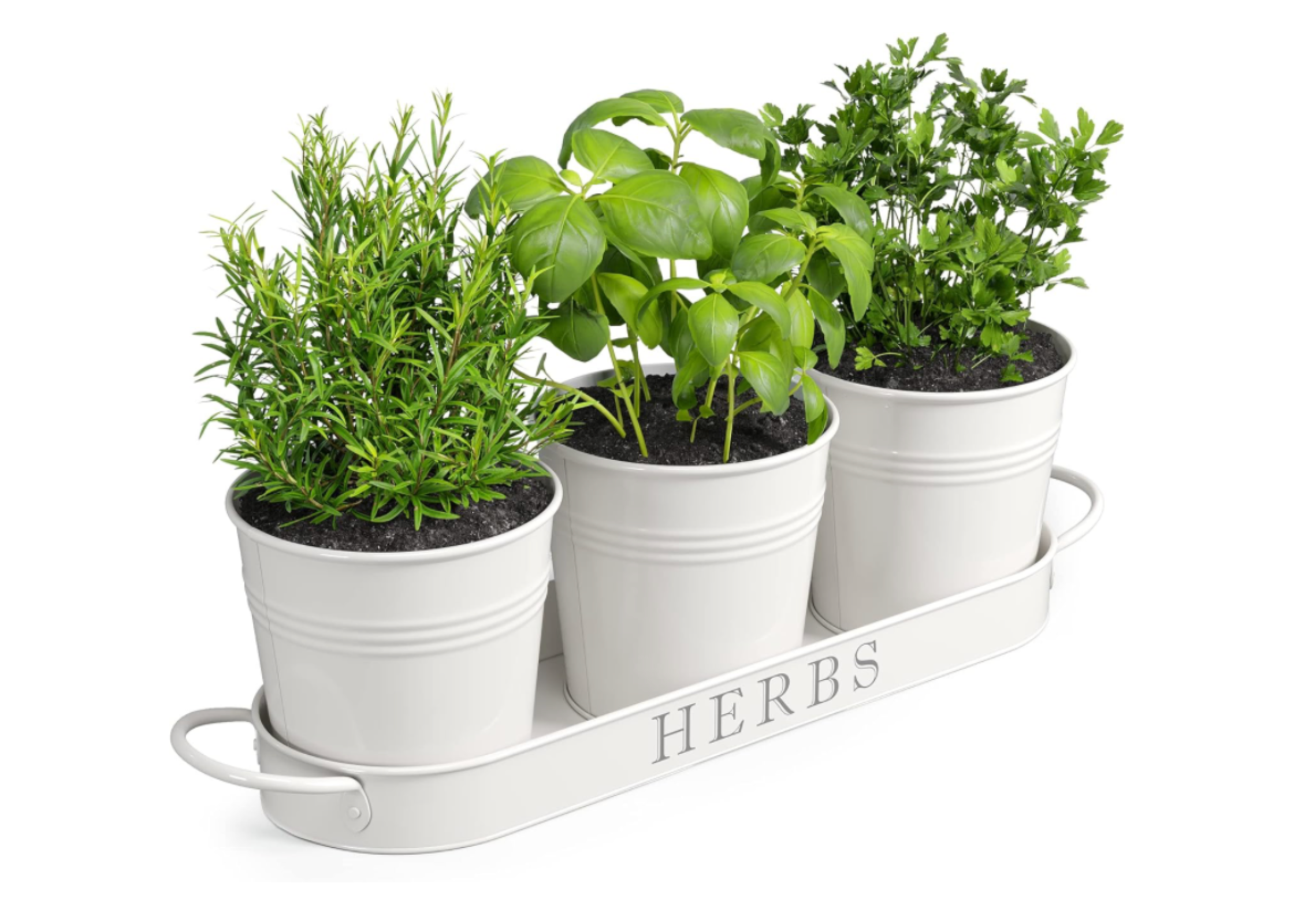 start a mini indoor her garden. planter potted set with tray. herb pots. Spring decor ideas. decorating for spring. decor for spring. How to update your home for spring. resfresh home. get home spring ready. how to transition your home from winter to spring